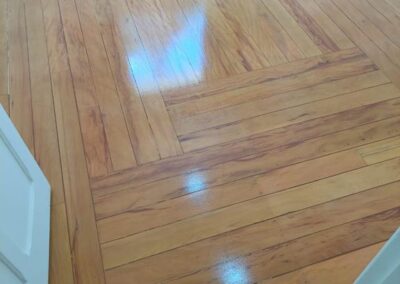 aplicação de sinteco