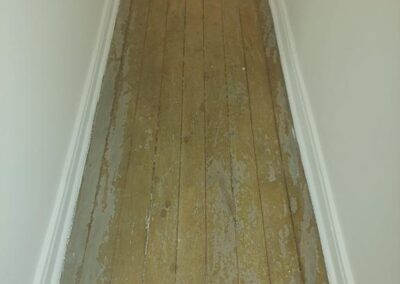 raspagem de taco santa cecília