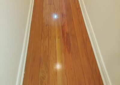 raspagem de tacos santa cecília